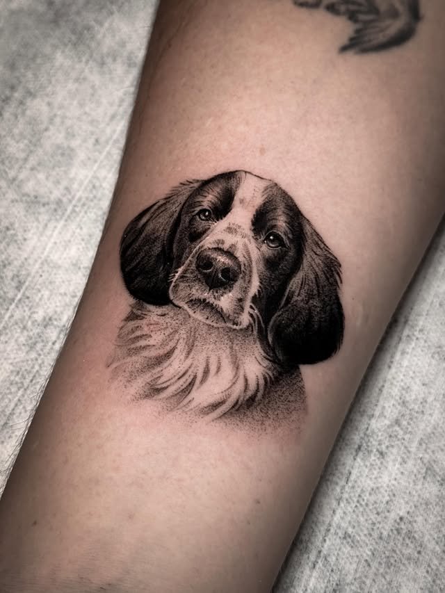 Homenaje a Toby